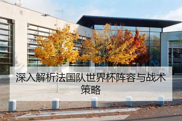 深入解析法国队世界杯阵容与战术策略